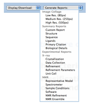 Customized reports options