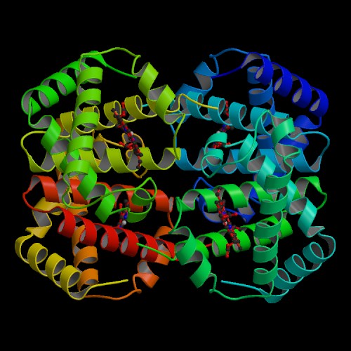 PDB entry 2hhb