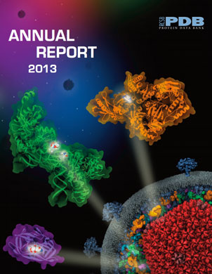 2013 Annual Report Cover