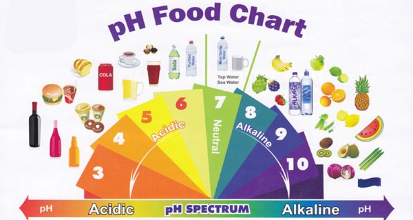 Alkaline Foods ph level chart