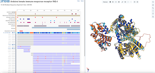 1D-3D Group Alignment View for <a href="https://www.rcsb.org/groups/3d-sequence/polymer_entity/O95786">O95786</a>.