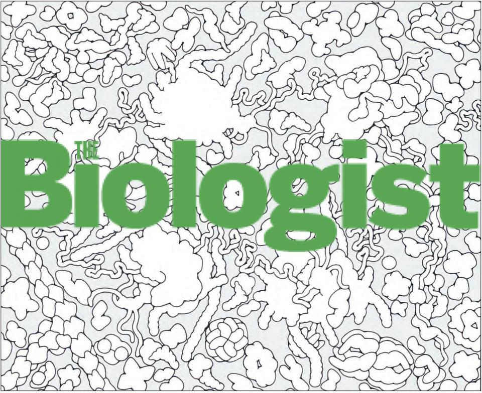 <a href="https://pdb101.rcsb.org/learn/coloring-books/the-biologist-magazine-big-biochemical-colouring-in-series">Download this image of a polysome from PDB-101</a>